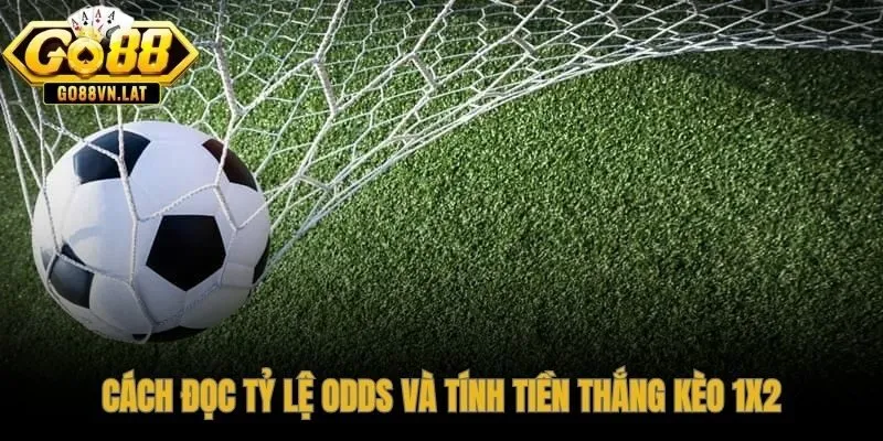 Odds thập phân - nhân trực tiếp ra tiền thắng chính xác