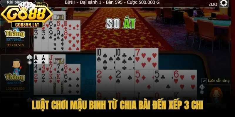 13 lá được phân vào 3 chi theo đúng thứ tự từ yếu đến mạnh